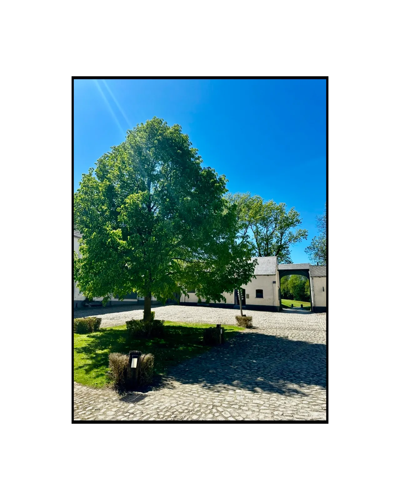 La Ferme Bertinchamps d'Ophain  - Photo 5