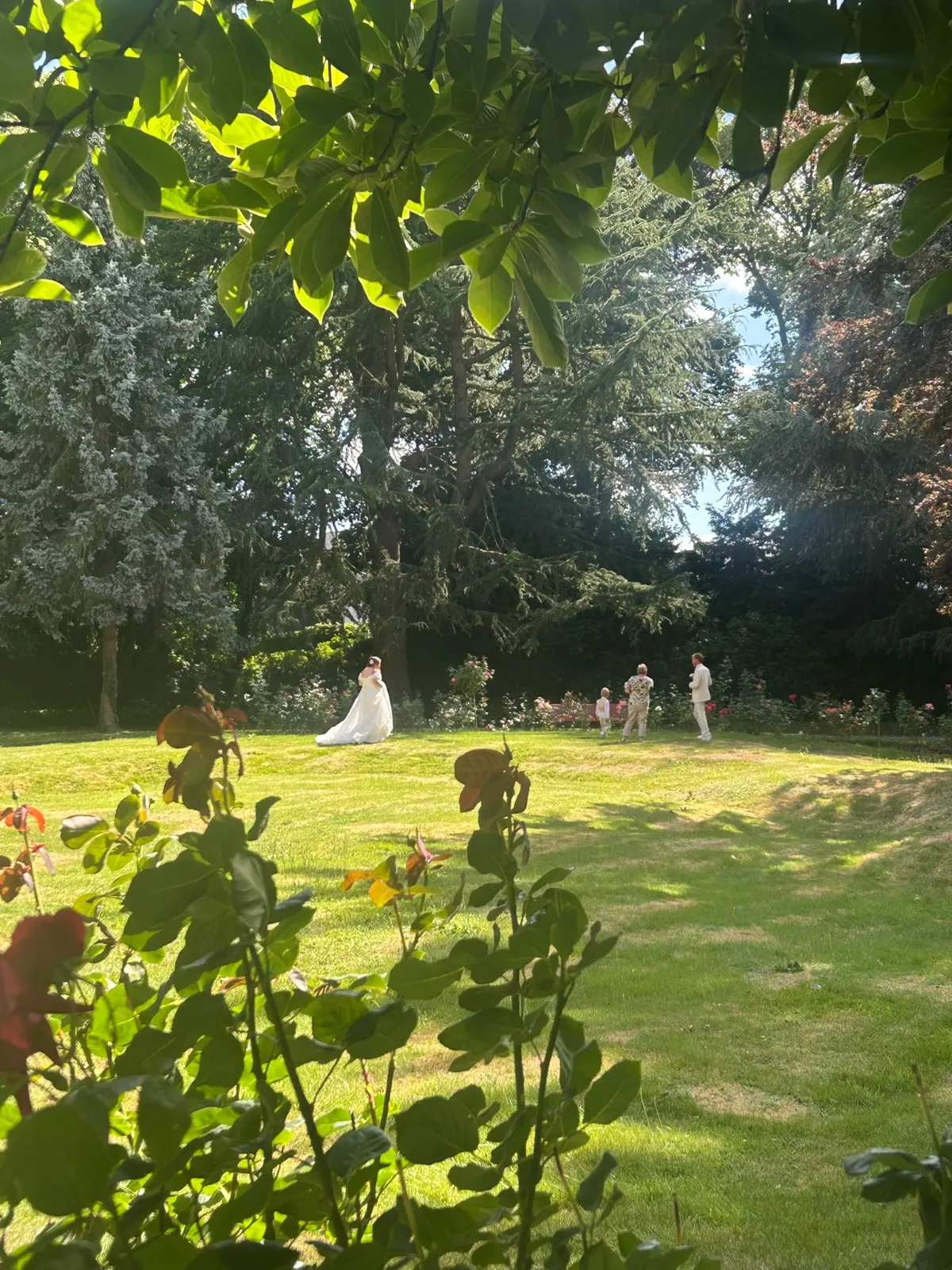Le Jardin des Roses  - Photo 5