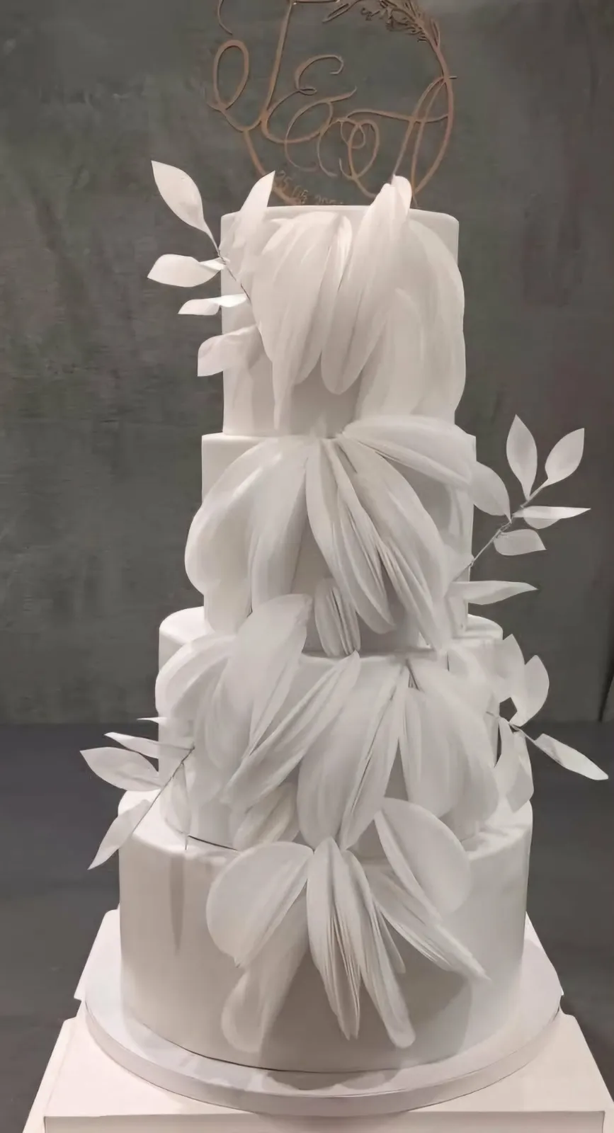 Psyché Délice - Photo 4