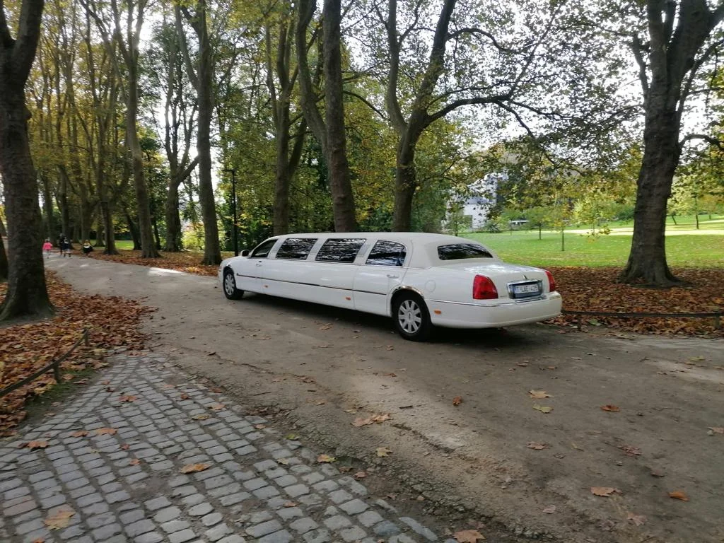 AD Limo Service - Photo 3